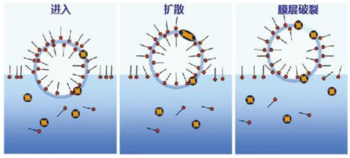（圖：消泡劑消泡原理）